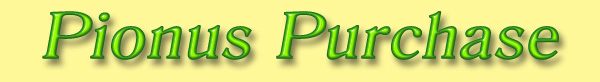 Pionus Online - Purchasing a Pionus Parrot